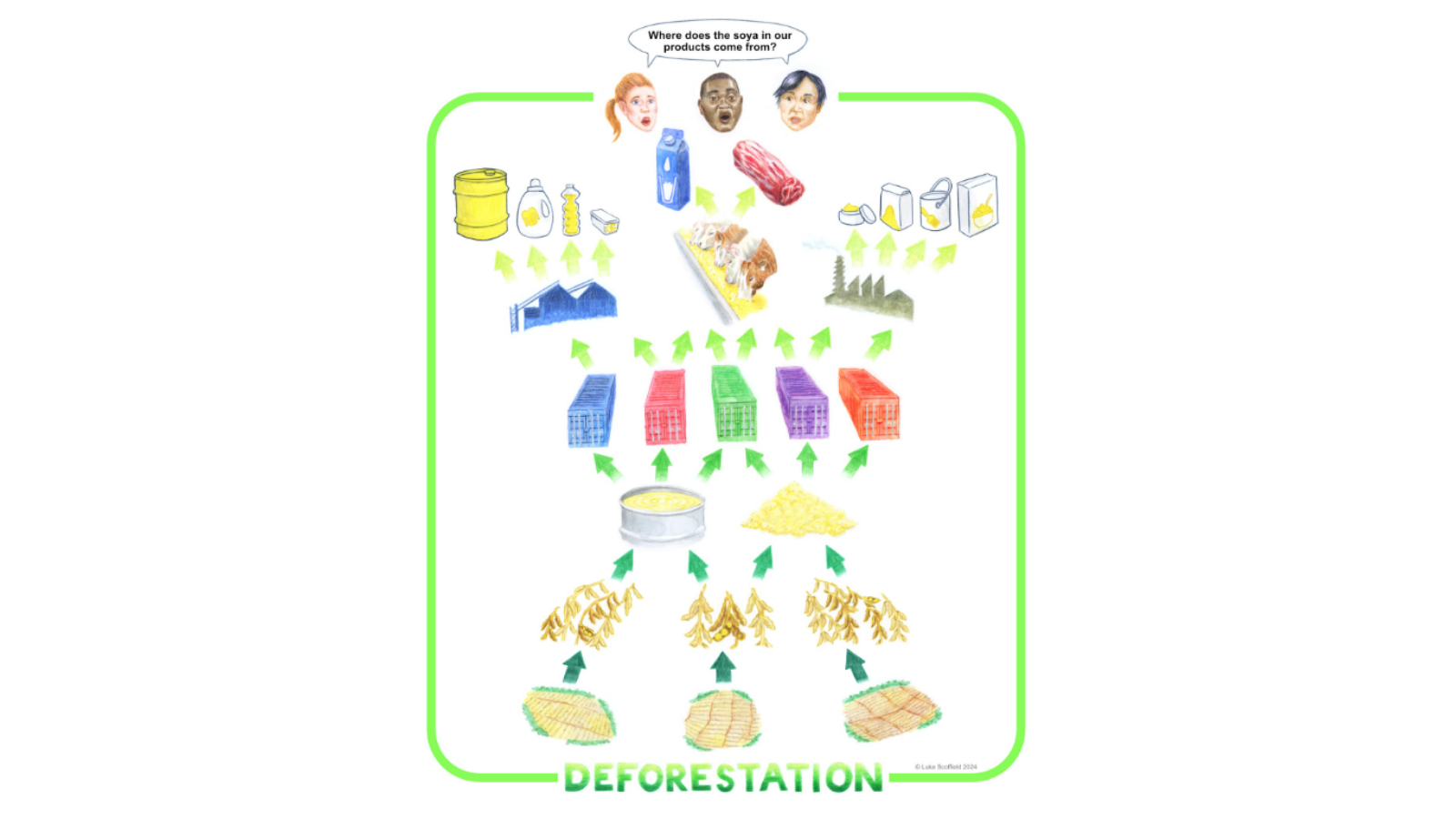 Visual representation of soy supply chain
